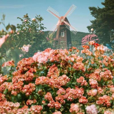 火狐体育APPapp下载